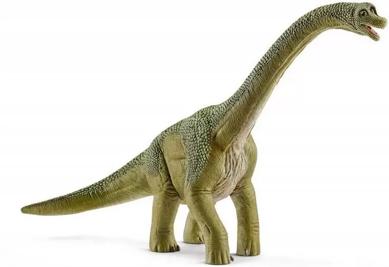 Brachisaurus. Figurka 4581 - tantis.pl