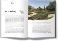 Oman. W deszczu na pustyni - tantis.pl