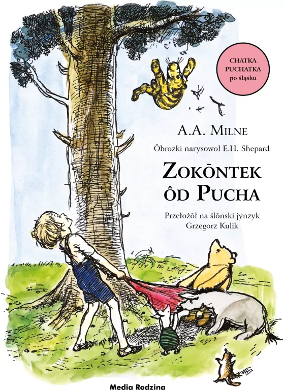 Zokontek od Pucha. Chatka Puchatka po śląsku - tantis.pl