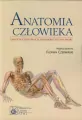 Anatomia człowieka - tantis.pl
