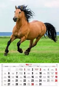 Zioła i magia - tantis.pl