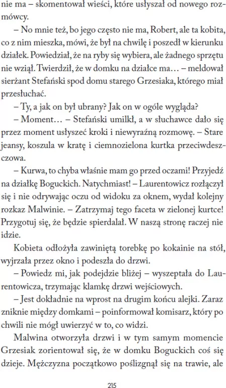 Nadkomisarz Laurentowicz T.2 Normalne życie - tantis.pl
