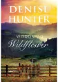 Romans w Riverbend. Wodospad Wildflower. Tom 4 - tantis.pl